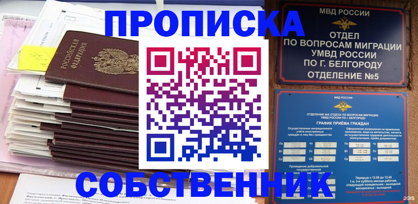 прописка законно в Щёлкино